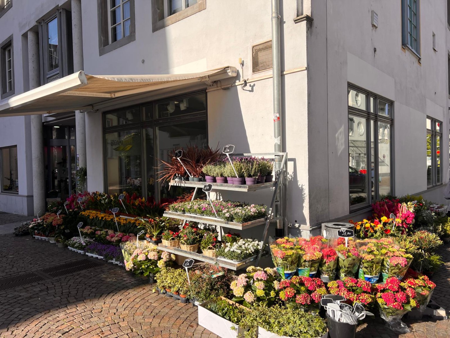 Saisonstrauß premium